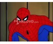 Spider-Man: The 1981 Animated Series Complete DVD Collection