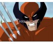 X-Men Evolution: The Complete Animated Series DVD Collection