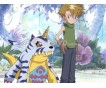 Digimon Season 1 Adventure Complete DVD Collection