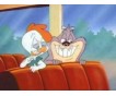 Tiny Toon Adventures Complete Seasons 2 & 3 DVD Collection